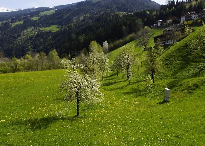 Haus Annemarie Schiestl Zell am Ziller