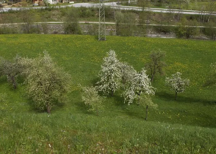 Haus Annemarie Schiestl