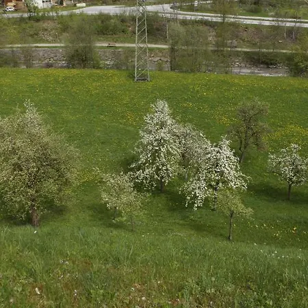 Haus Annemarie Schiestl